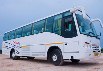 31 Seater Bus Rental Service